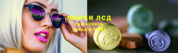 шишки Богородицк