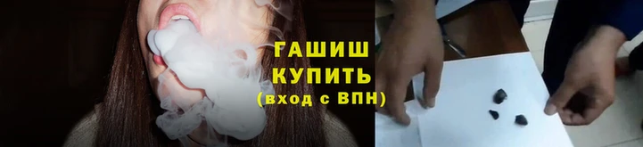 шишки Богородицк