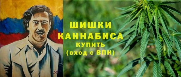 шишки Богородицк