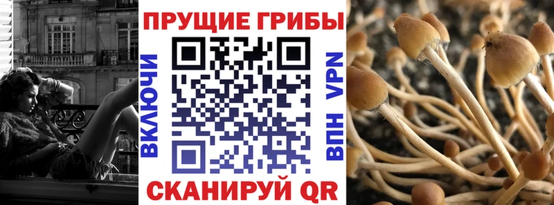 Псилоцибиновые грибы прущие грибы  Болохово 