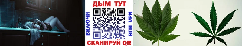Бошки марихуана сатива  купить наркоту  KRAKEN зеркало  Болохово 